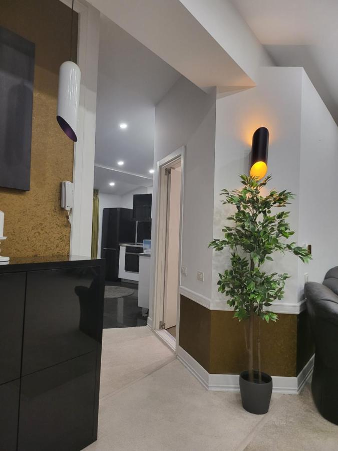 Large Luxury Apartment - Penthouse - Terrace Bucarest Extérieur photo