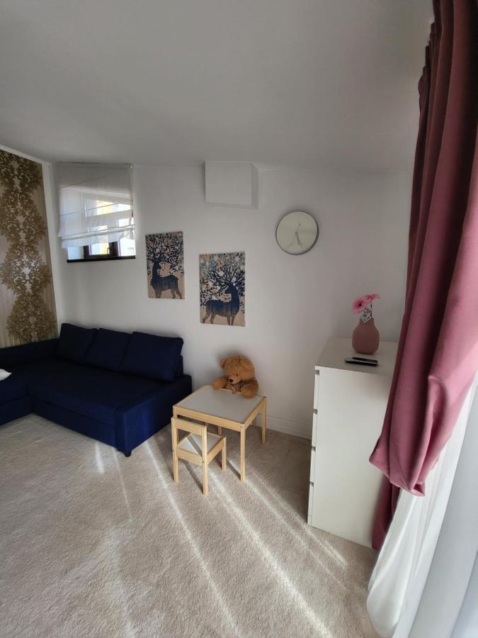 Large Luxury Apartment - Penthouse - Terrace Bucarest Extérieur photo